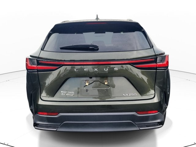 2024 Lexus NX NX 250