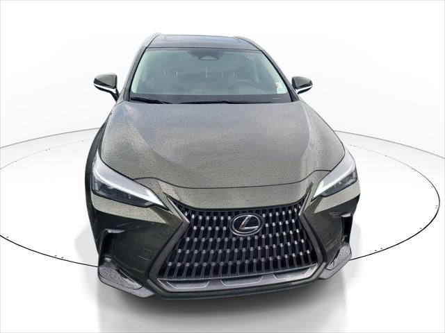 2024 Lexus NX NX 250