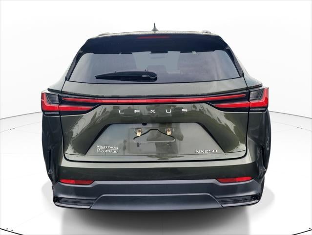 2024 Lexus NX NX 250