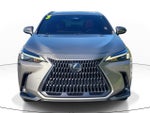 2025 Lexus NX 250 NX 250 Premium