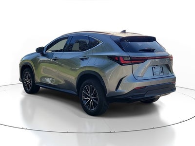 2025 Lexus NX 250 NX 250 Premium
