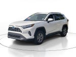 2024 Toyota RAV4 HYBRID Hybrid XLE