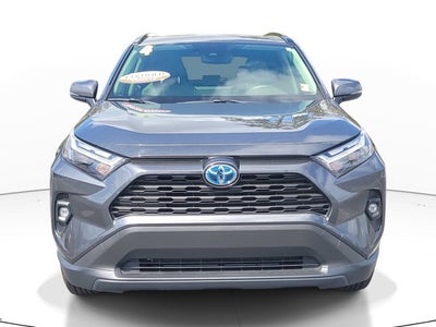 2024 Toyota RAV4 HYBRID Hybrid XLE Premium