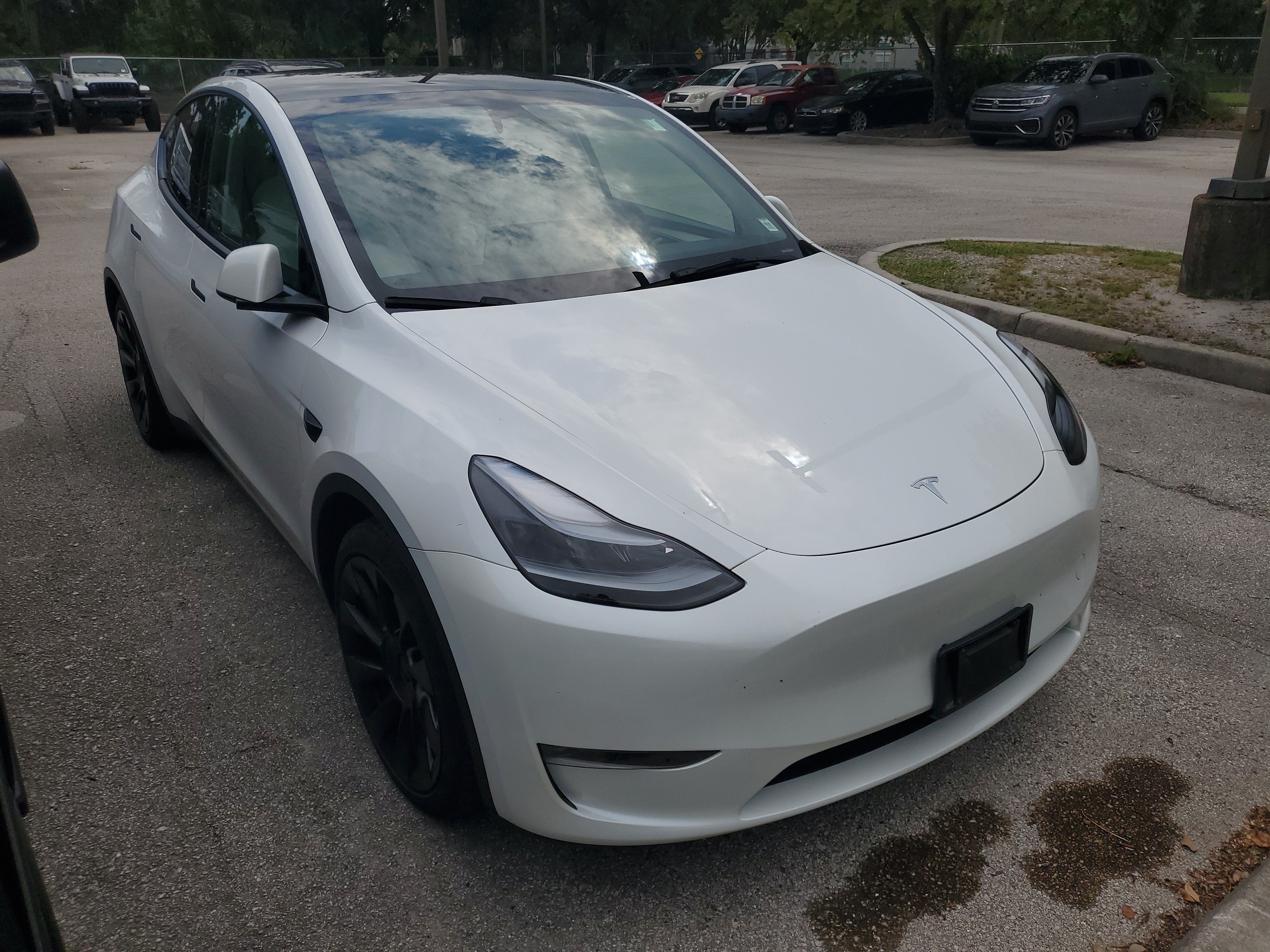 2023 Tesla Model Y Long Range