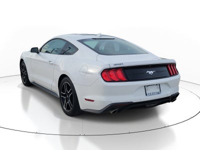 2022 Ford Mustang EcoBoost
