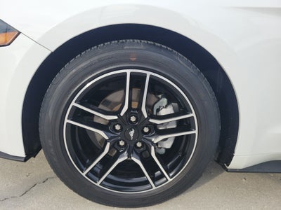 2022 Ford Mustang EcoBoost