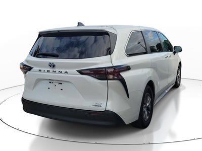 2023 Toyota Sienna XLE