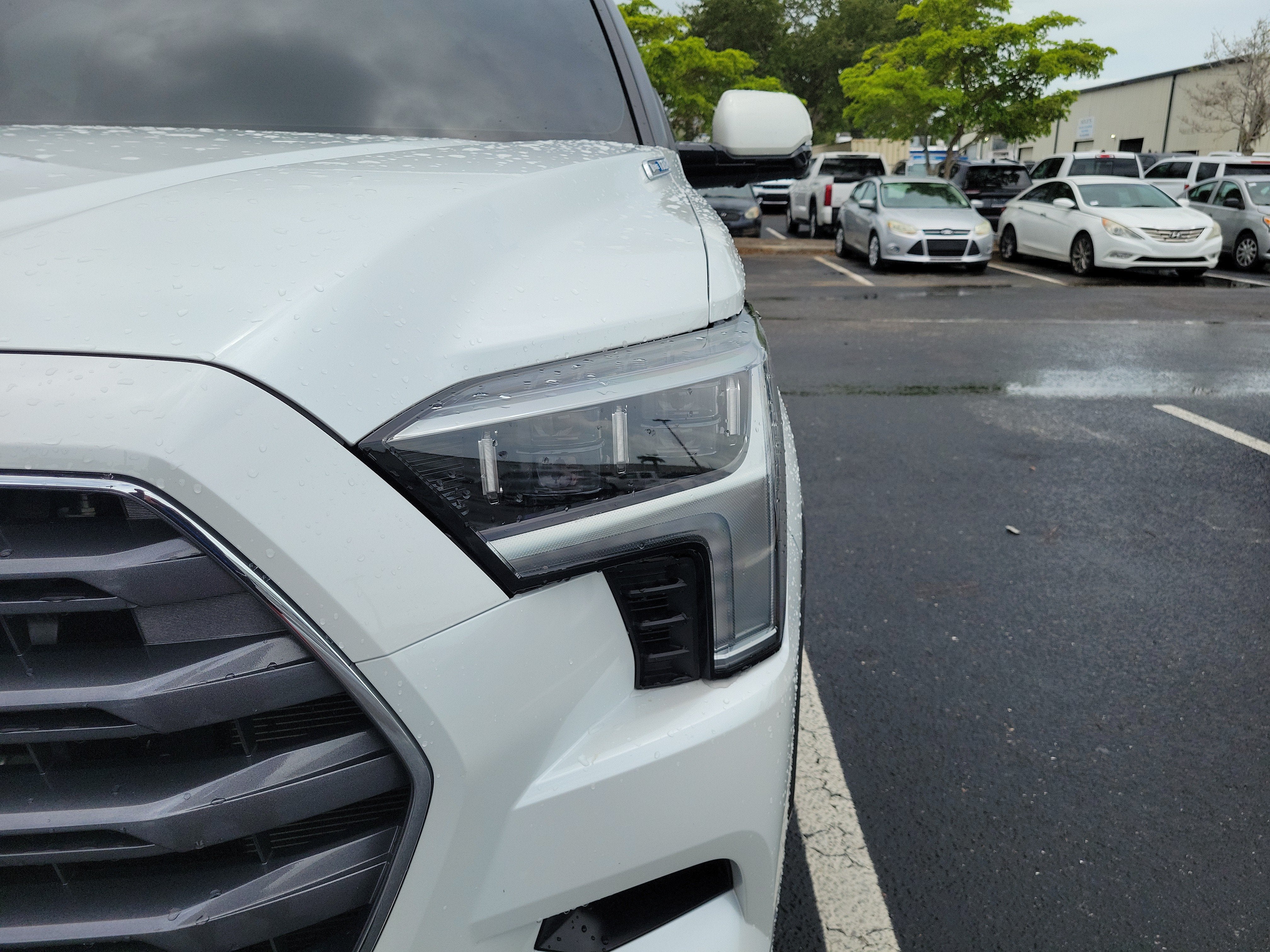 2025 Toyota Sequoia Limited